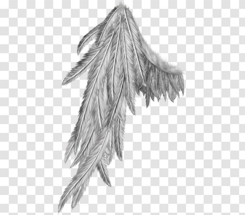 Angel Wing Black And White - Monochrome Transparent PNG