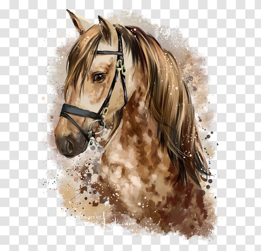 Horse Pony Watercolor Painting Drawing - Stallion Transparent PNG