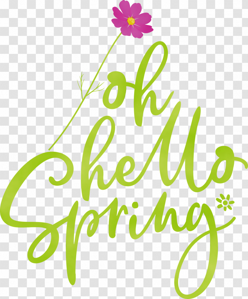 Floral Design Transparent PNG