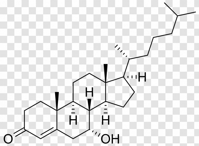 Cholestane 7α-Hydroxy-4-cholesten-3-one Cortisol Triamcinolone Estradiol - Technology - 4hydroxytempo Transparent PNG