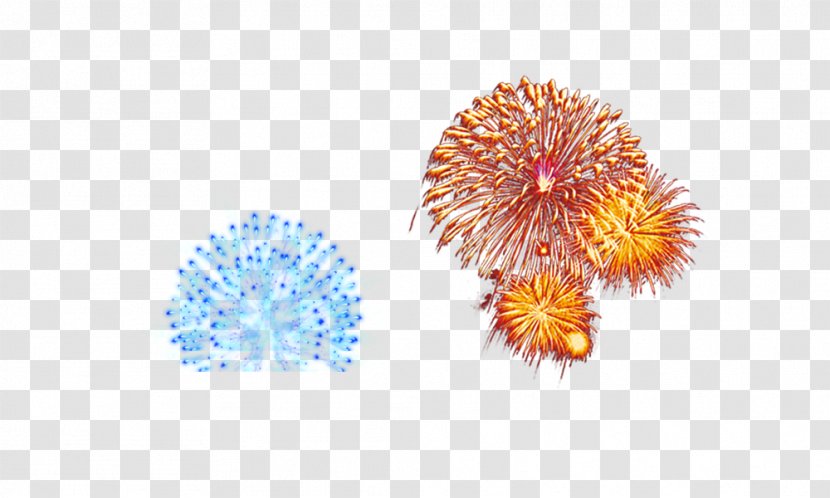 Fireworks Firecracker - Chinese New Year Transparent PNG