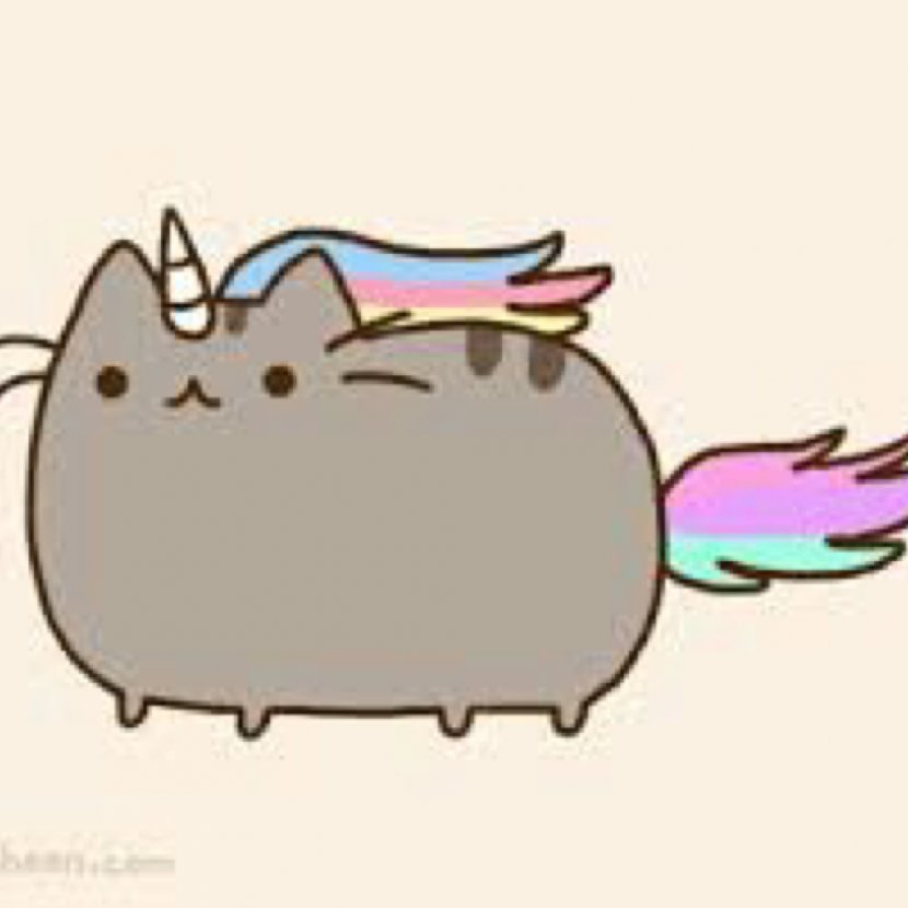 Birman Kittens And Pusheen Cuteness - Watercolor - Ferret Transparent PNG