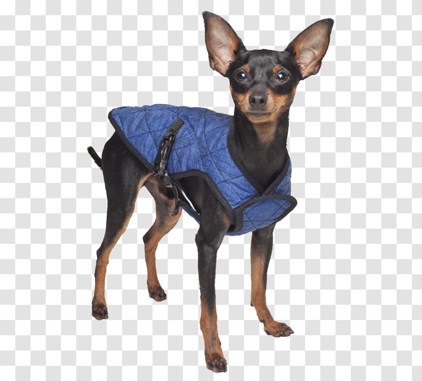 Dog Jacket Coat Gilets Pet Shop - Costume - Keep Pets Transparent PNG