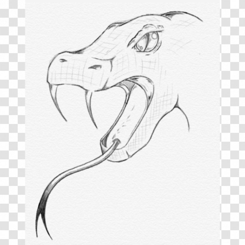 Mammal Reptile Drawing Sketch - Black And White - Snake Head Transparent PNG