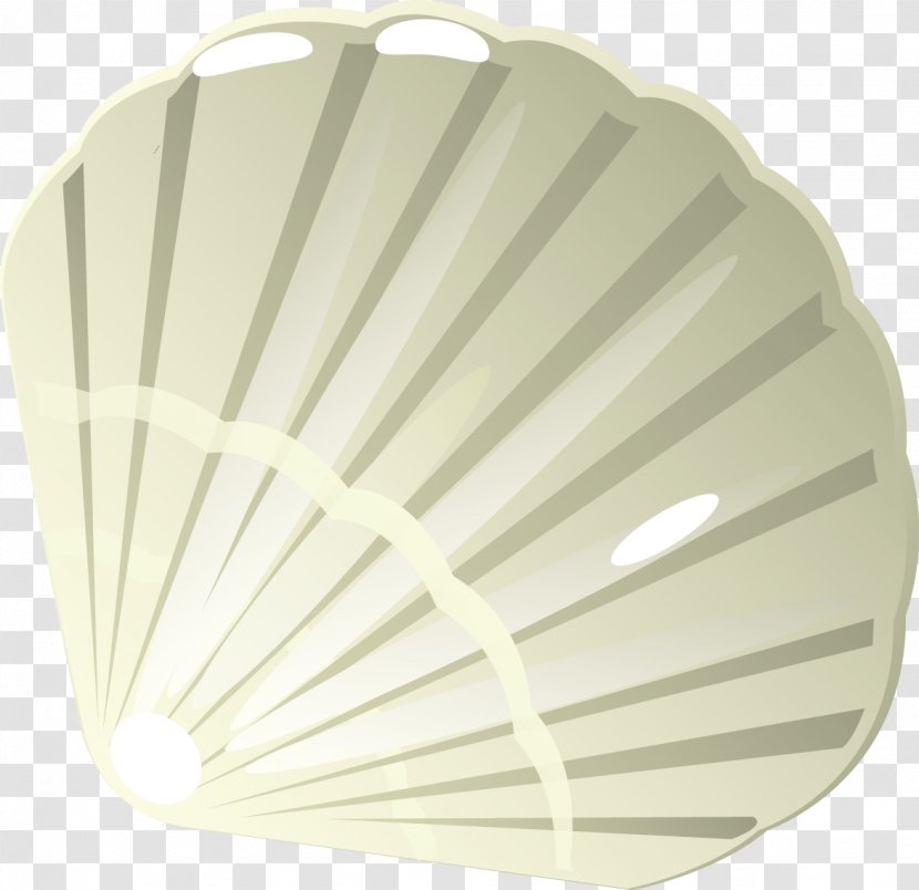 Euclidean Vector Seashell - Decorative Fan - Seashells Modified Material Transparent PNG