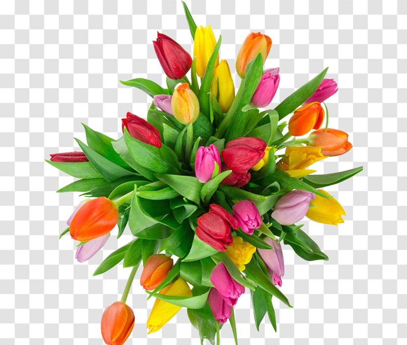 Flower Bouquet Tulip Garden Roses - Seed Plant - Colored Tulips Transparent PNG
