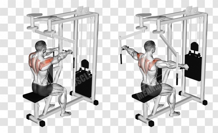 Machine Fly Exercise Front Raise Muscle - Structure Transparent PNG
