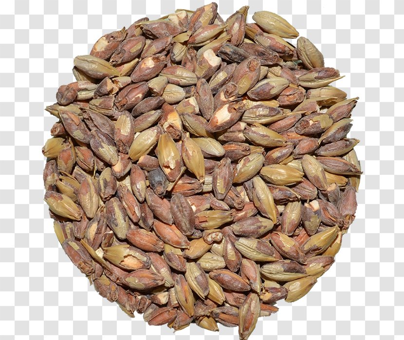 Nut Vegetarian Cuisine Superfood Commodity - Seed - Beer Brewing Grains Malts Transparent PNG