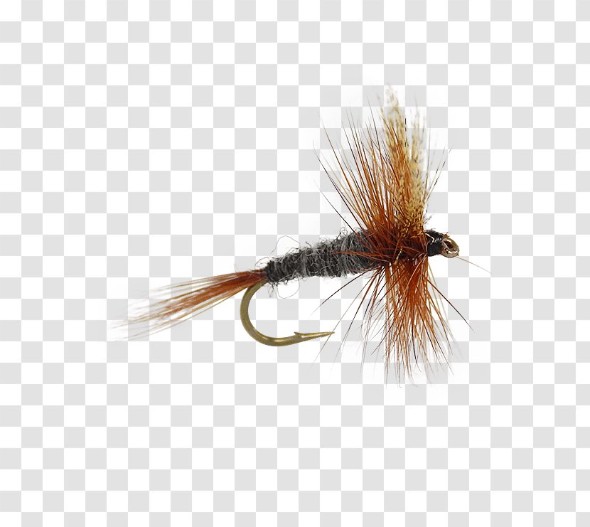 Fly Fishing Baits & Lures Angling Adams - Tying Transparent PNG