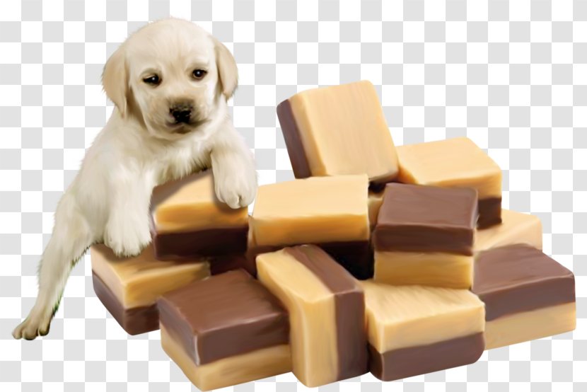 Fudge Liquorice Puppy Vanilla Chocolate Transparent PNG