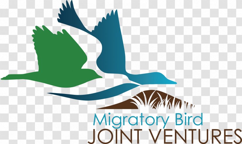 Bird Migration Conservation Joint Venture Logo Transparent PNG