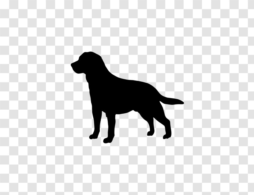 Labrador Retriever Golden Beagle Clip Art - Dog Breed Transparent PNG