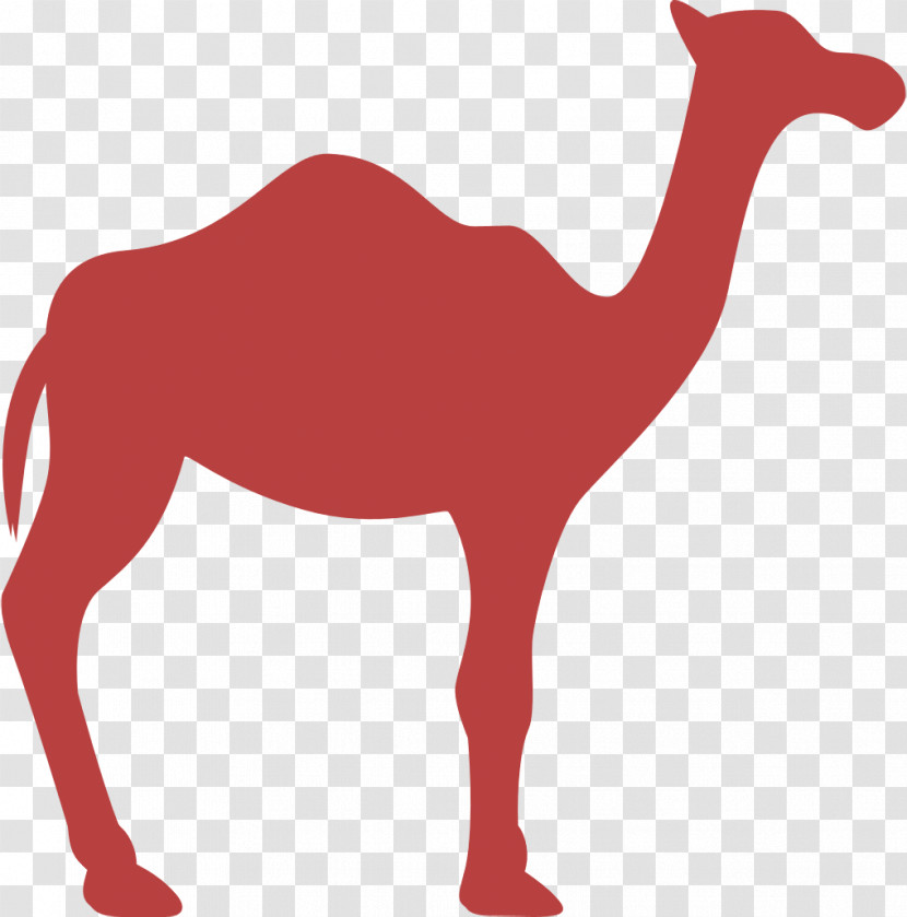 Dromedary Facing Right Icon Animal Silhouettes Icon Animals Icon Transparent PNG