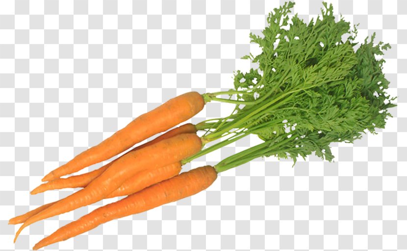 Food Juice Carrot Health Vegetable - Lycopene Transparent PNG