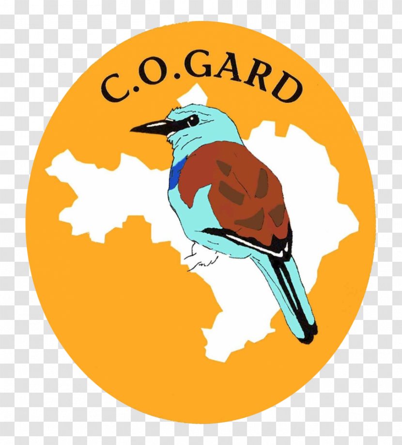 COGard Fauna Groupe Ornithologique Du Roussillon Voluntary Association Natural Environment - Flora - Gorges De La Jonte Transparent PNG