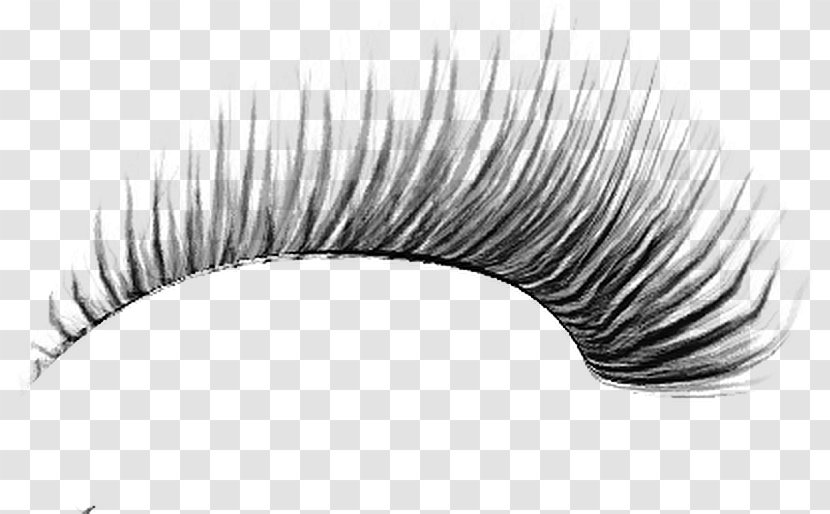 Eyelash PhotoScape - Tree - Eye Transparent PNG