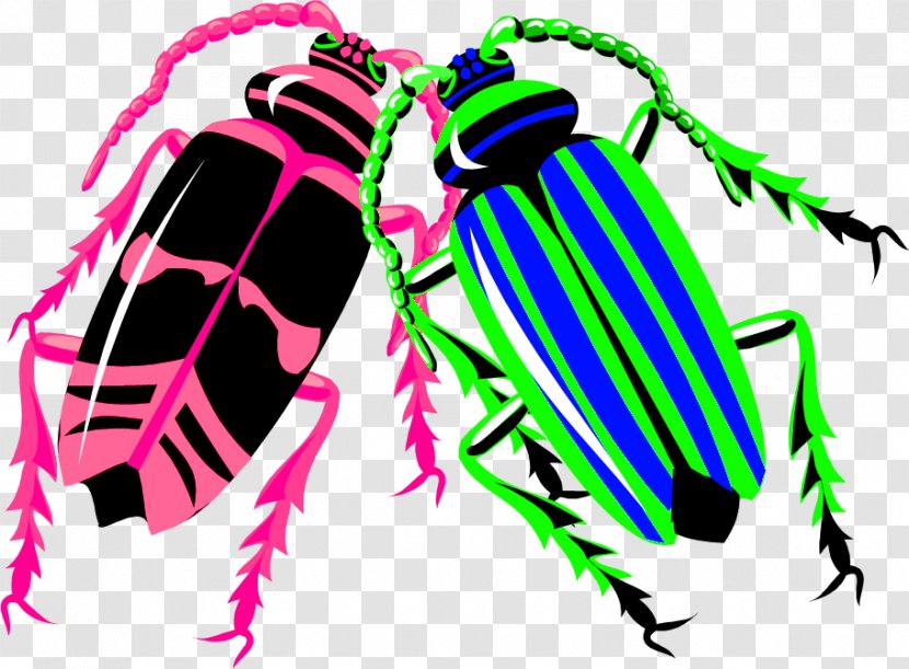Longhorn Beetle Worm - Pest - Color Insect Transparent PNG