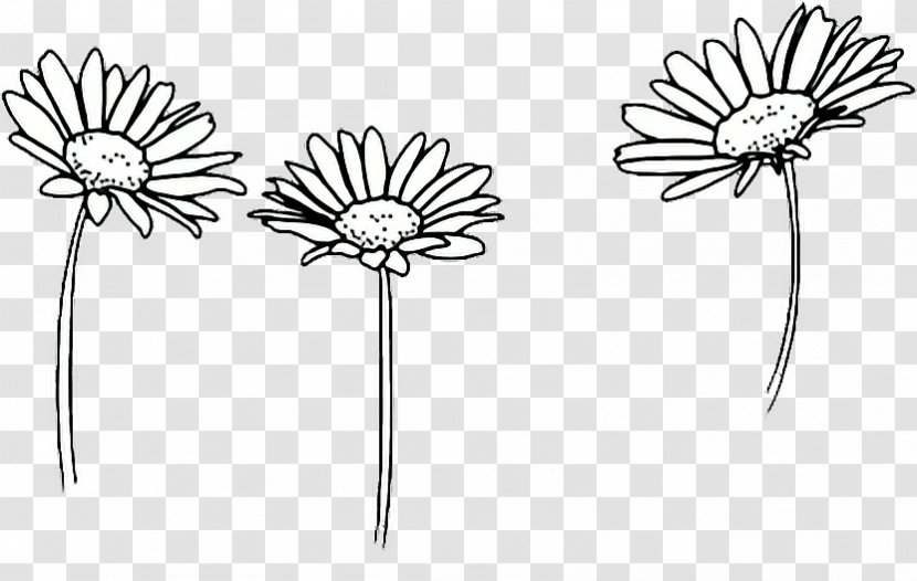 To draw a sketch daisy how How To