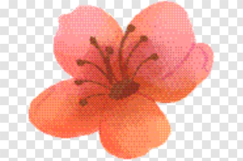 Pink Flower Cartoon - Petal - Peach Plant Transparent PNG