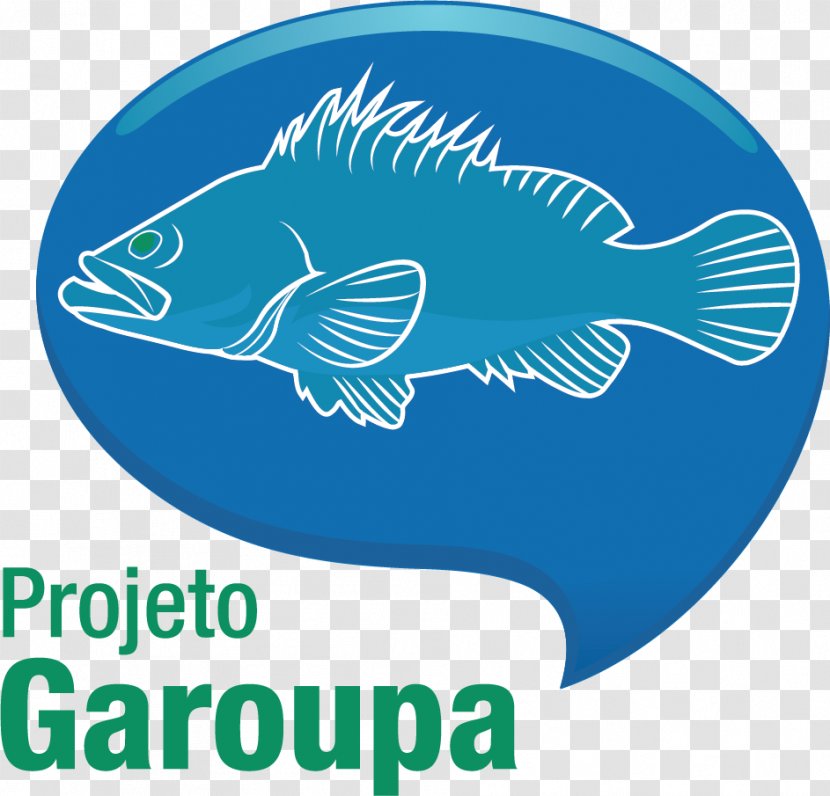 Projeto Garoupa Gulf Grouper Fish Red Transparent PNG