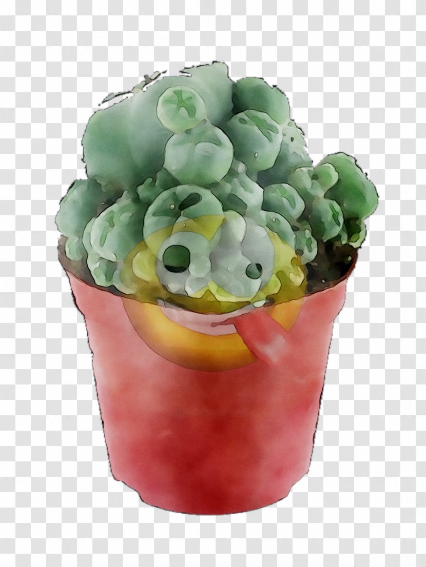 Fruit - Cactus - Plant Transparent PNG
