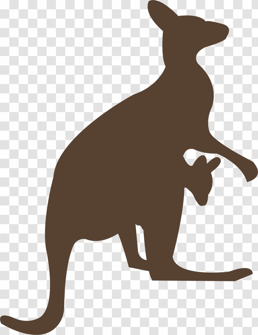 Macropodidae Kangaroo Animal Clip Art - Canidae Transparent PNG