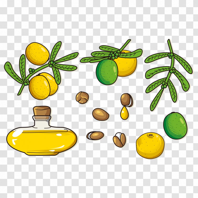 Lemon Euclidean Vector - Fruit - Delicious Mango Beans Transparent PNG