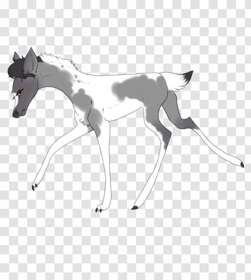 Foal Halter Colt Pony Mustang - Horse Tack Transparent PNG