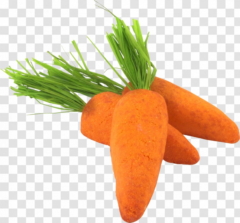 Baby Carrot Vegetable Vegetarian Cuisine Food - Greens Transparent PNG