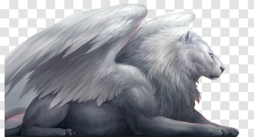 Winged Lion White Legendary Creature Dragon - Lovely Feathers Transparent PNG