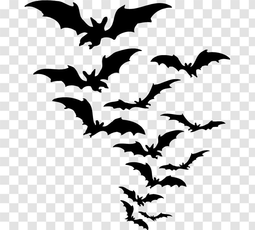 Halloween Cartoon Background - Bat - Plane Tree Transparent PNG