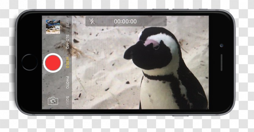 IPhone Smartphone Text Messaging Video - Close Up Transparent PNG