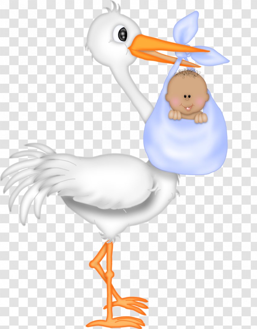 Baby Shower Infant Stork Gift - Seabird Transparent PNG