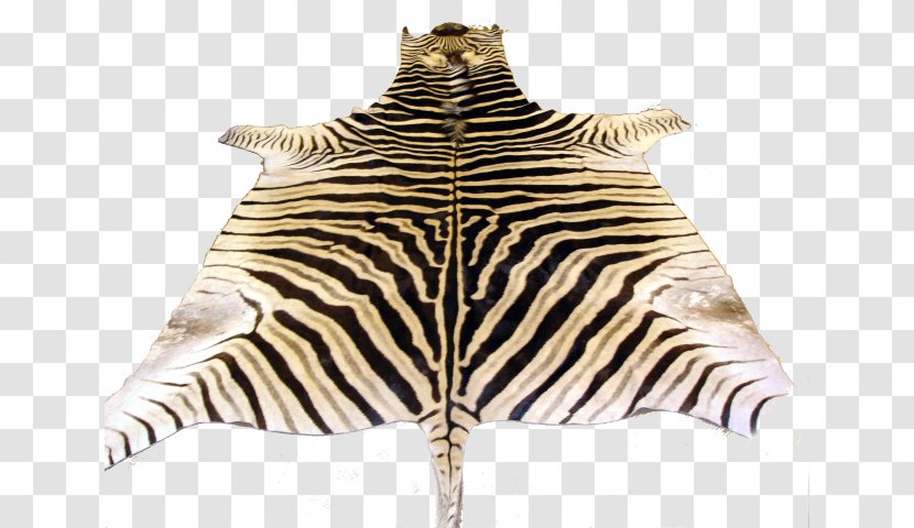 Zebra Fur Neck Terrestrial Animal Wildlife - Horse Like Mammal - Safari Transparent PNG