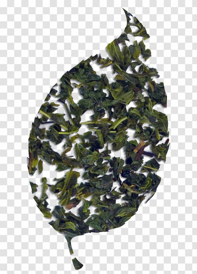 Leaf Camouflage - Pepermint Transparent PNG
