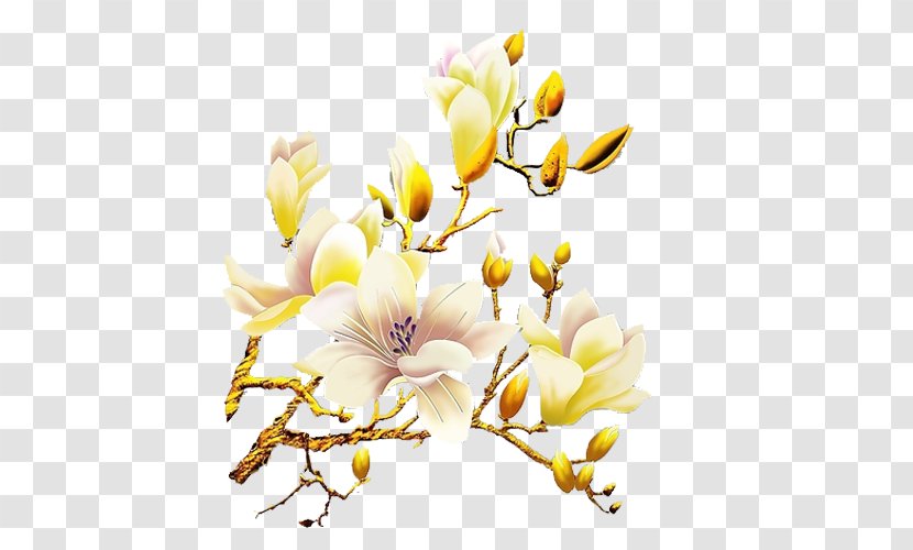 White Flower Orchids - Blossom - Orchid Flowers Transparent PNG