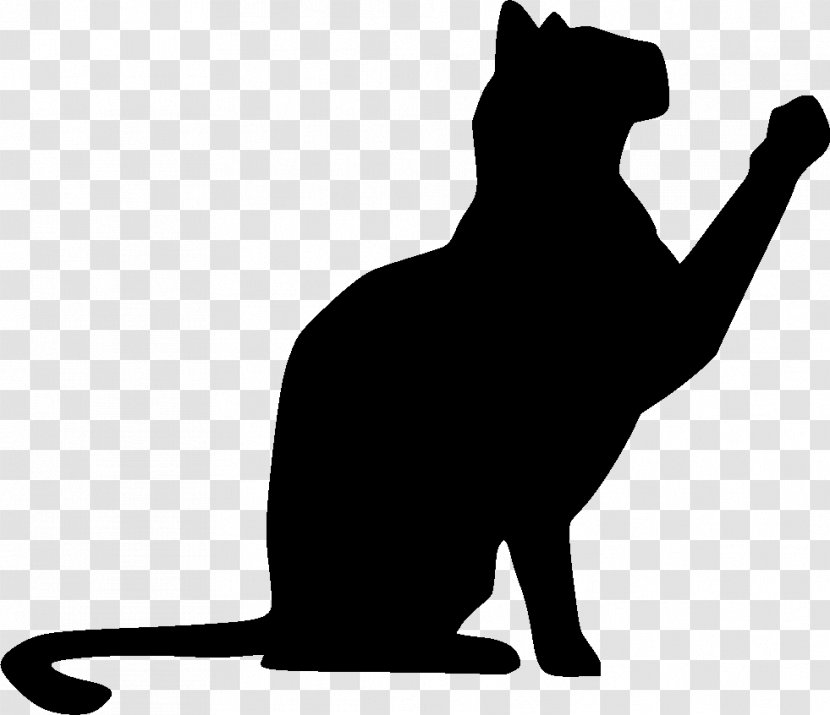Whiskers Cat Dog Mammal Black & White - Small To Mediumsized Cats - M Transparent PNG