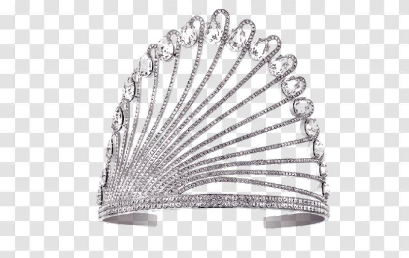 Miss France 2012 2018 2011 Guyane 2013 - Fashion Accessory - Amazonas Transparent PNG