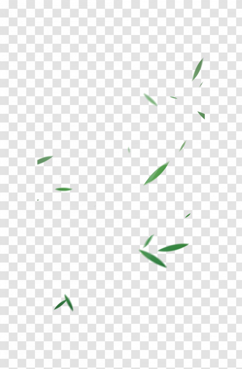 Green Bamboo Chinoiserie - Sky - Leaves Transparent PNG