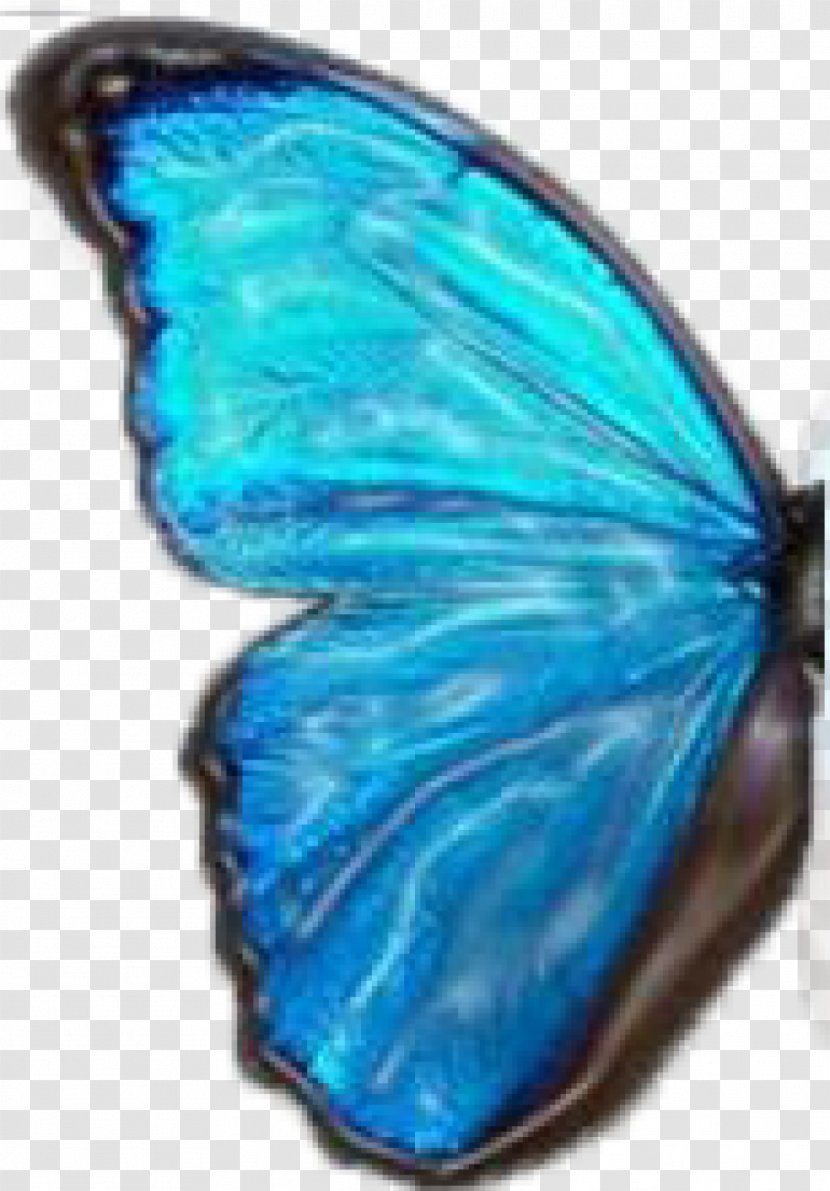 Butterfly Logo Clip Art - Crop Transparent PNG