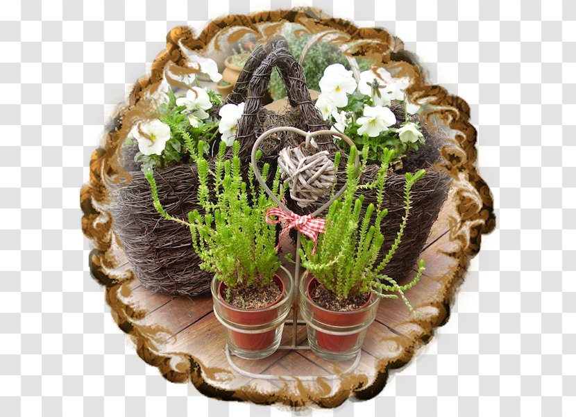Flowerpot - Viburnum Tinus Transparent PNG