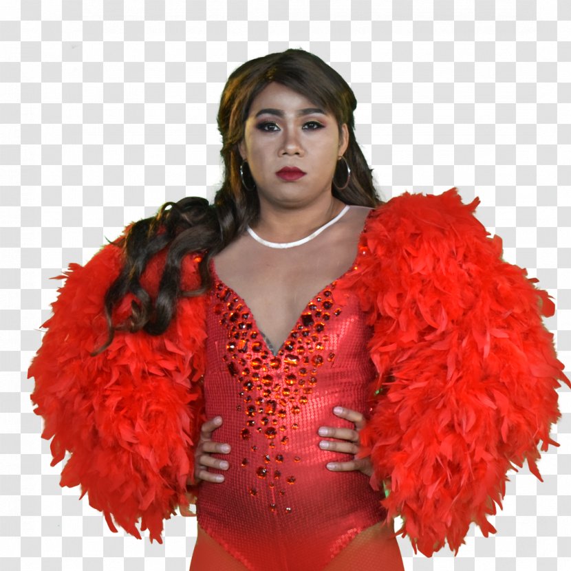 Pilipinas Got Talent Reality Television Fashion Model Feather Boa Tarento - Costume Transparent PNG