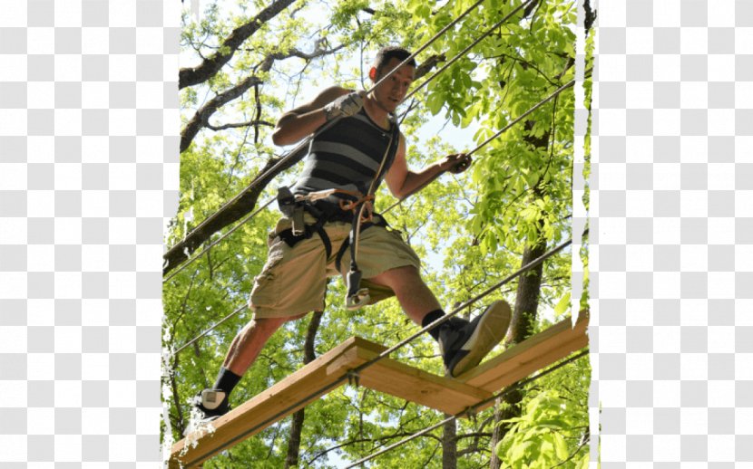 Bristol Tree Sevierville Ropes Course Adventure - Tn Transparent PNG