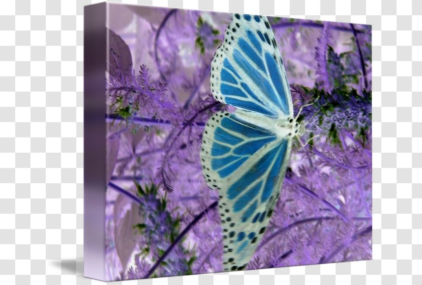 Monarch Butterfly Abstract Art Painting - Lavender Transparent PNG
