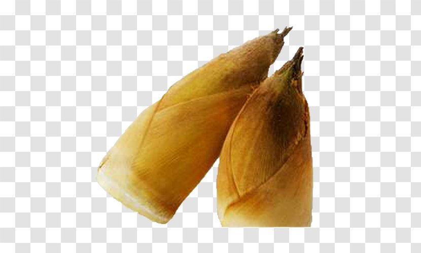 Bamboo Shoot Menma Food Eating Taste - Shoots Product Transparent PNG