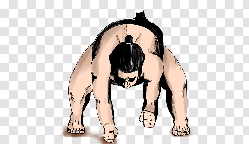 Honbasho Japan Sumo Association 大相扑 Rikishi - Snout - Fight Transparent PNG