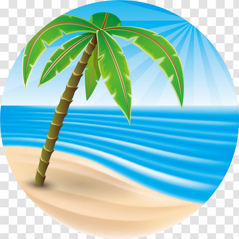 Coconut Tree Drawing - Vacation - Plate Transparent PNG