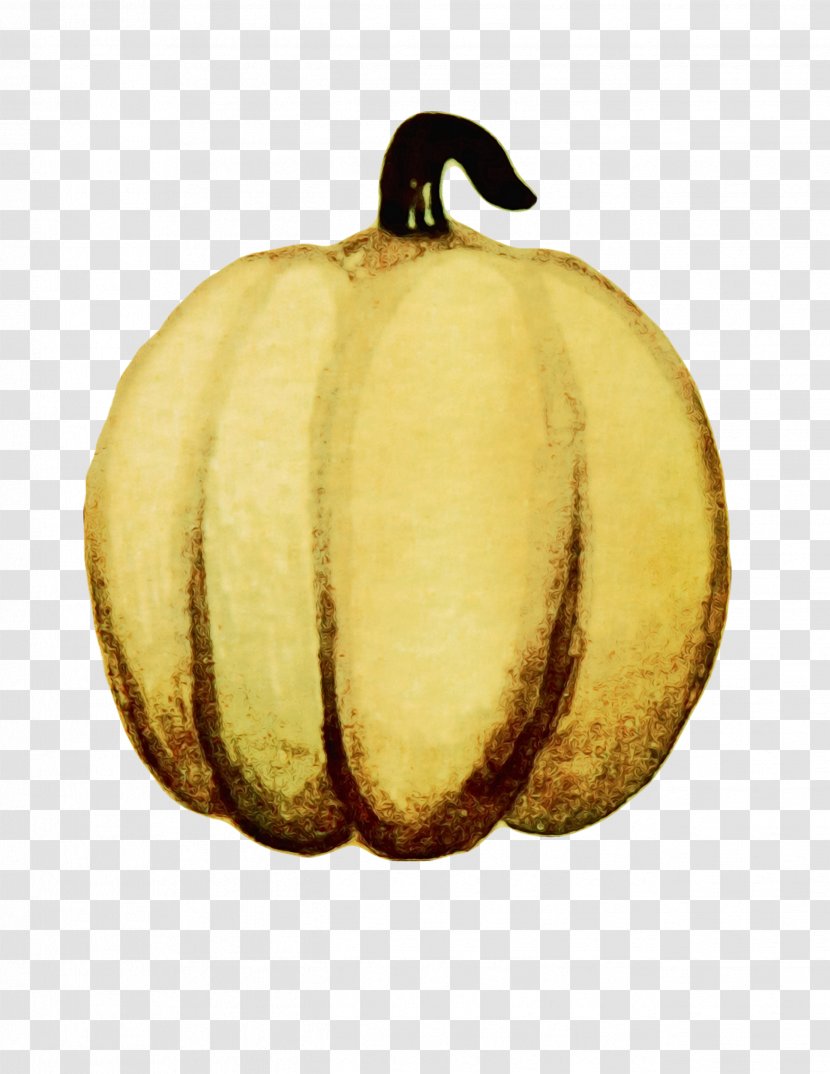 Pumpkin - Food - Vegetable Transparent PNG