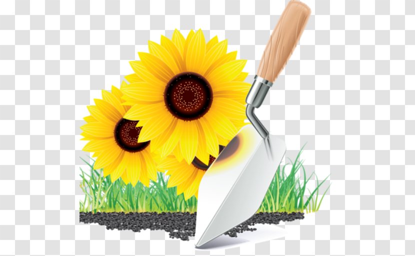 Garden Tool Building - Sunflower Seed Transparent PNG