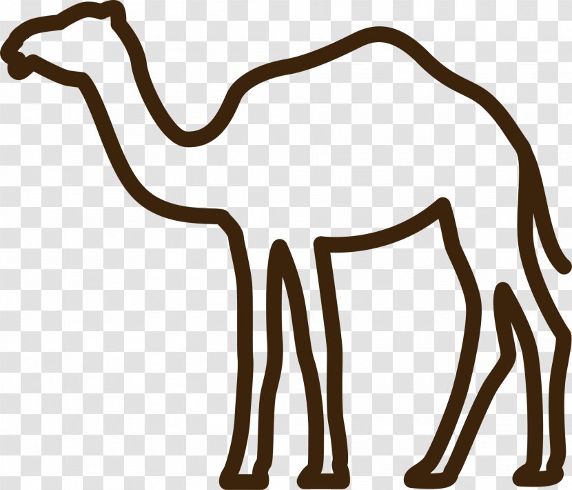 Camel Eid Al-Adha Al-Fitr Clip Art - Horn Transparent PNG